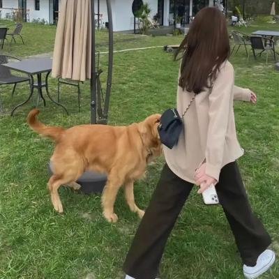 黑吃黑第三季